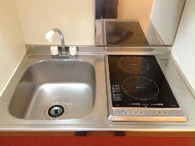 Kitchen. Type with electric stove 2-neck