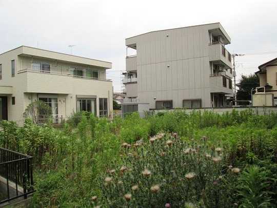 Local land photo. Local 1