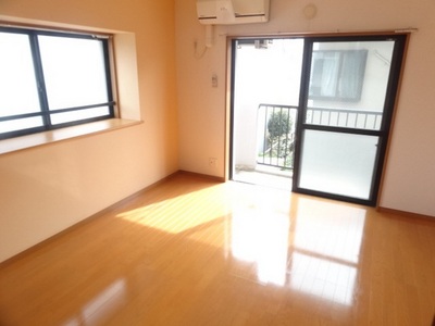 Living and room. Very bright Western-style