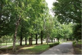 park. 610m until overlooking the vast Mitsuhashi comprehensive park with a total area of 103000 square meters