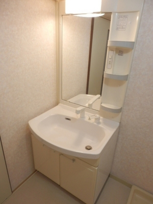 Washroom. Cleaning Easy Shampoo dresser!