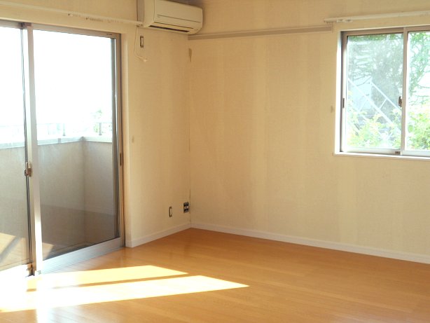 Living and room. Bright living room facing south