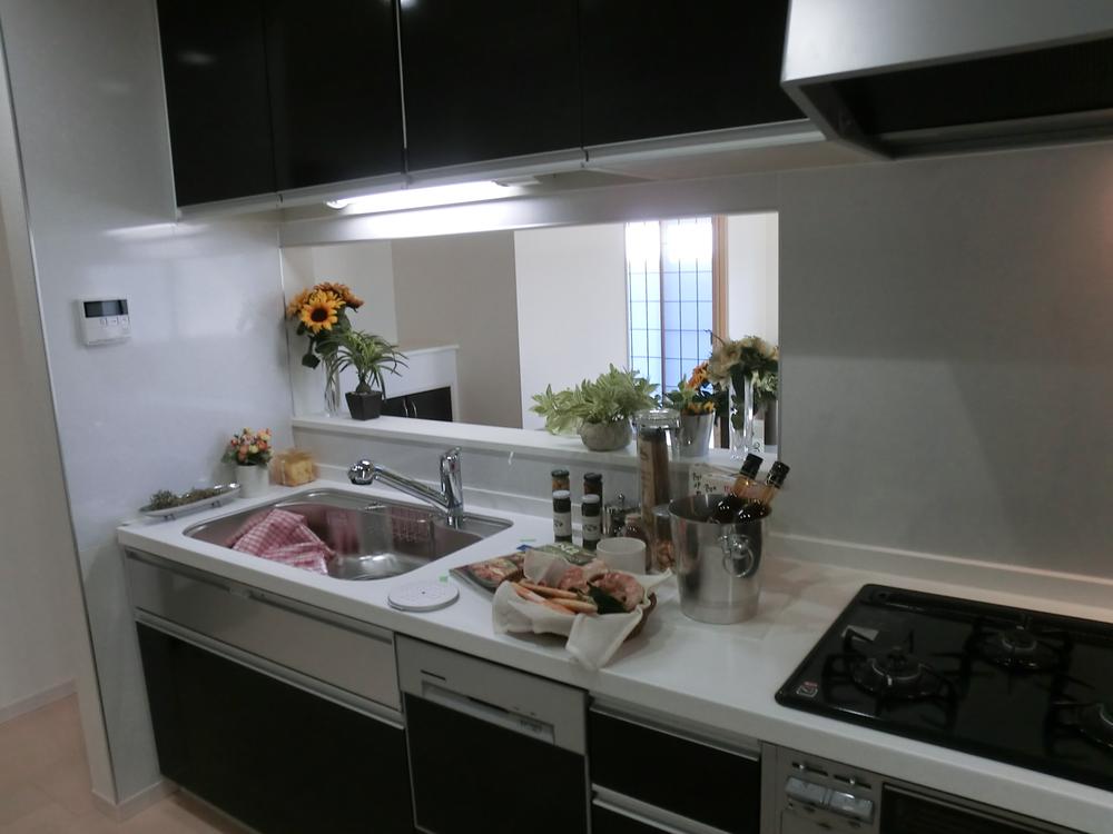 Kitchen. 1 Building Kitchen. Tableware clean shiny families with dish washing dryer