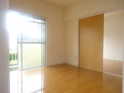 Living and room. South-facing bright Western-style