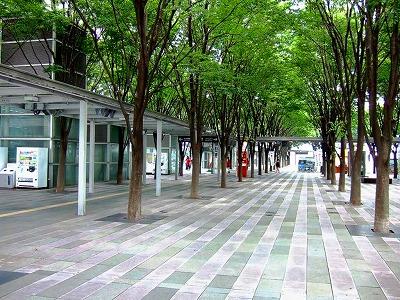 Other. 630m to Keyaki Square Lined with the second floor of the wood zelkova of Saitama Prefecture on the artificial ground that leads to the station adjacent to the Saitama Super Arena, Create a new nature of space. Illumination can be enjoyed until February 14 next year.