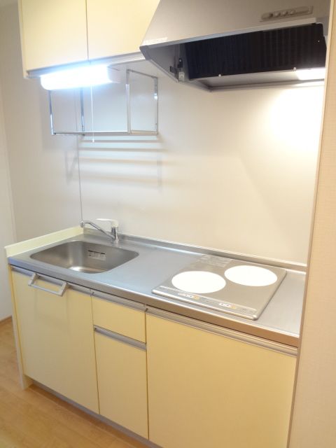 Kitchen. IH cooking heater!