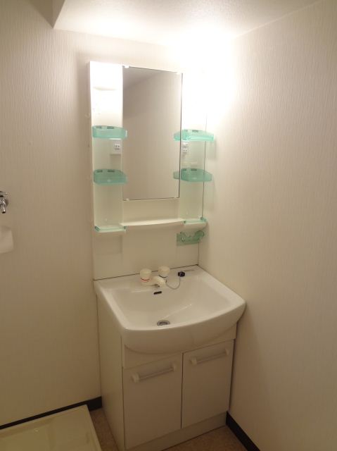 Washroom. Shampoo with Dresser