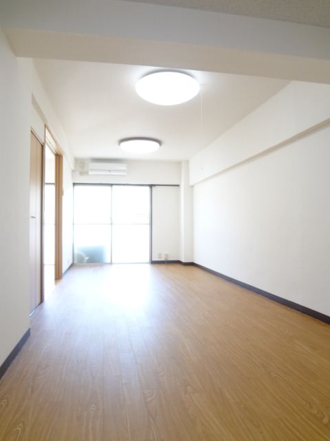 Living and room. Wide and clean living.