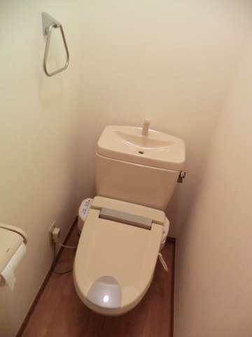 Toilet. With Washlet!