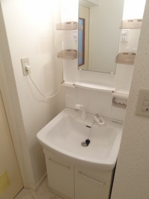 Washroom. Convenient shampoo dresser in a busy morning