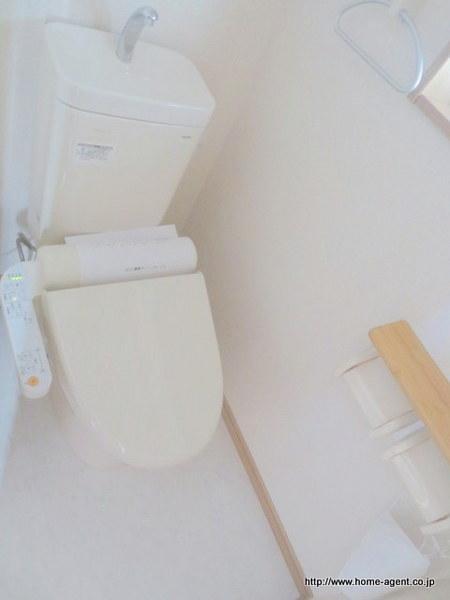 Toilet. Shower toilet