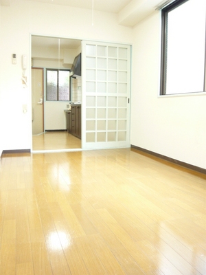 Living and room. Bright Western-style