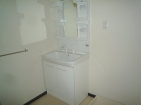 Washroom. New Bathroom Vanity with