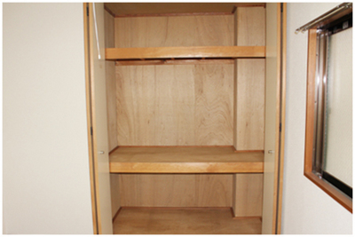 Living and room. Closet storage