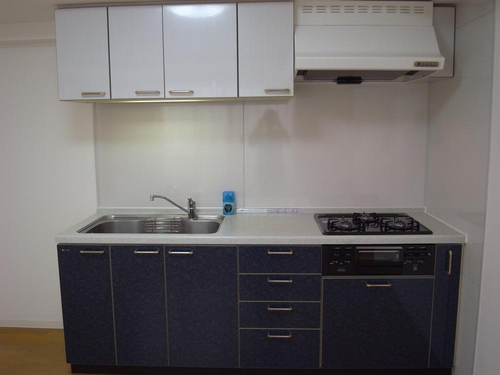 Kitchen. Indoor (10 May 2013) Shooting