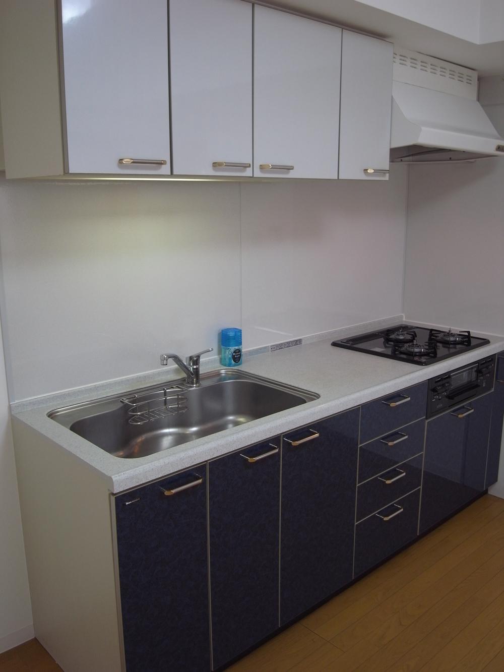 Kitchen. Indoor (10 May 2013) Shooting