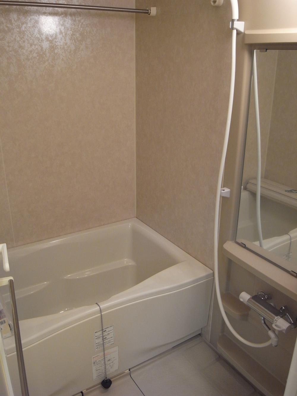 Bathroom. Indoor (10 May 2013) Shooting