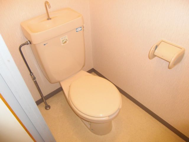 Toilet. Toilet with cleanliness