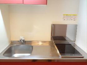 Kitchen. Type with electric stove 2-neck