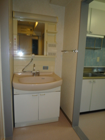 Washroom. With Vanity