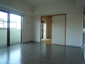 Living and room. LDK