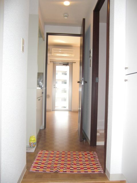 Entrance. Bright contains the sunlight from the front door open and Western-style.