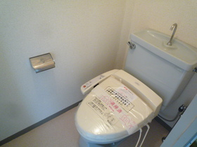 Toilet. Cleaning toilet seat was a new installation!