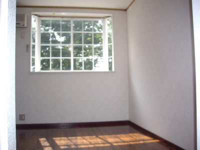 Living and room. Bright bay window