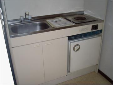 Kitchen. Electric stove installed already