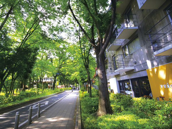 Surrounding environment. Hikawa approach (about 660m, A 9-minute walk)
