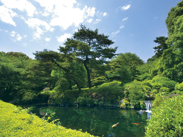 Surrounding environment. Omiya Park (about 1790m, 23 minutes walk)