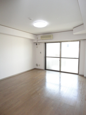 Living and room. A bright room