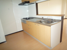 Kitchen. System Kitchen (3 burners) new!