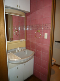 Washroom. With Vanity