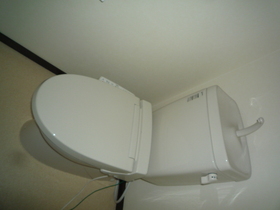 Toilet. Toilet with cleanliness.