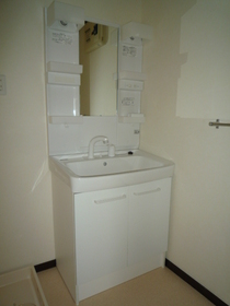 Washroom. Bathroom Vanity. Newly established!