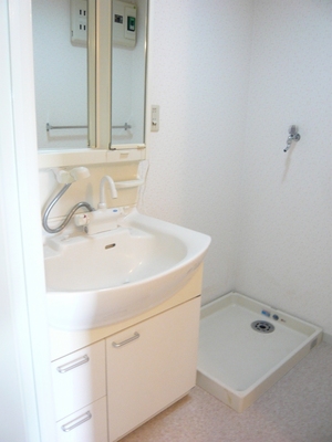 Washroom. Shampoo dresser