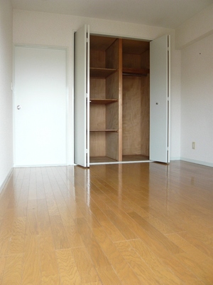 Living and room. Partition shelves glad storage