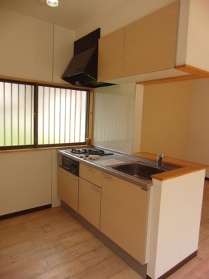 Kitchen. Gas stove 2-neck