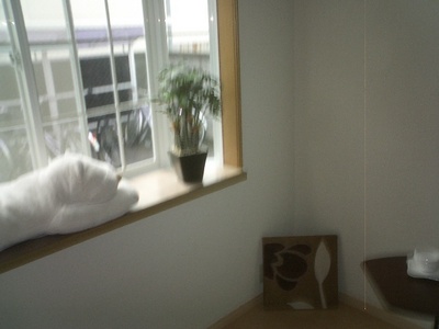 Living and room. Bay window that small is definitive