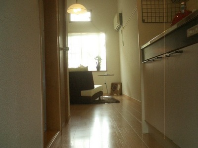 Kitchen. The living room from the kitchen