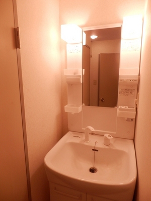 Washroom. Happy shampoo dresser in a busy morning