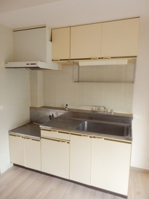 Kitchen. Gas stove installation Allowed