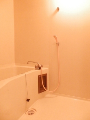 Bath. A clean bathroom