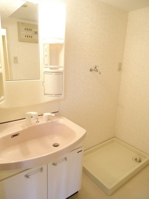 Washroom. Washbasin with cleanliness