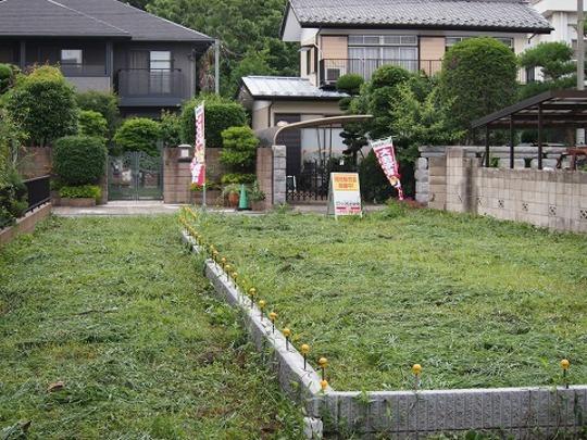 Local land photo. Local Photos