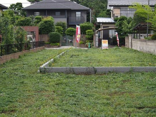 Local land photo. Local Photos