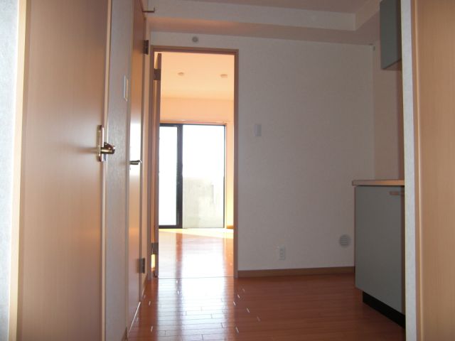 Kitchen. The spacious kitchen