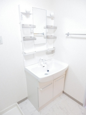 Washroom. Shampoo dresser