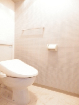 Toilet. Warm water washing toilet seat